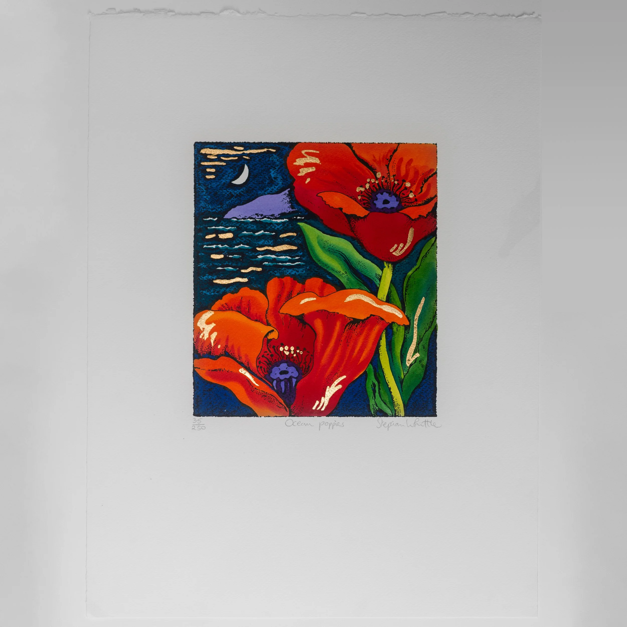 Shop — Stephen Whittle Studios